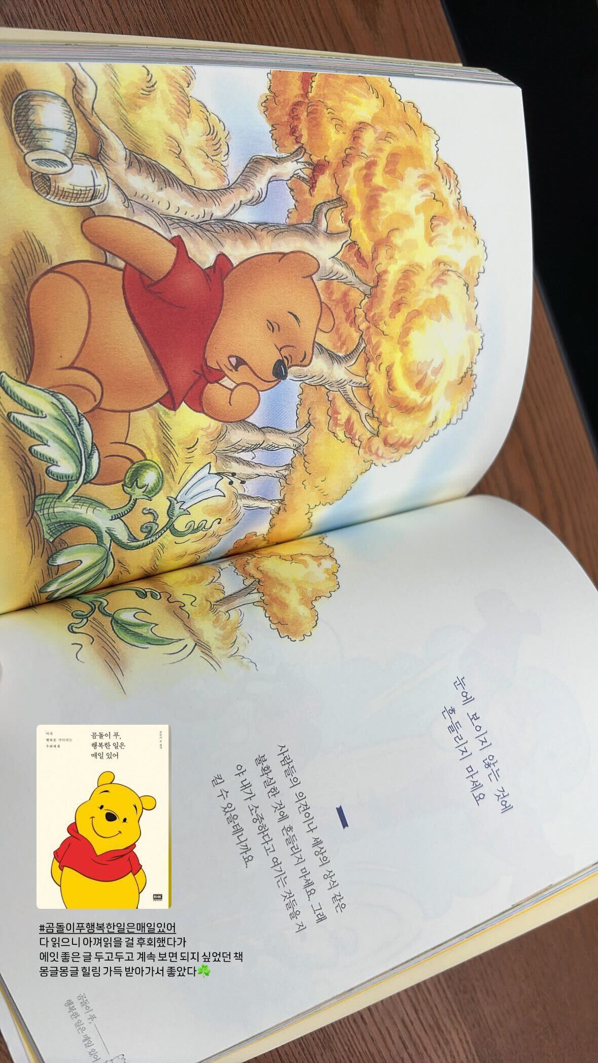 곰돌이 푸 행복한 일은 매일 있어 책 - 리뷰