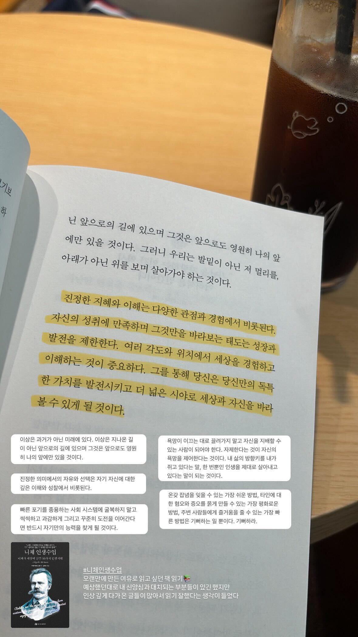 니체 인생수업 책 - 리뷰