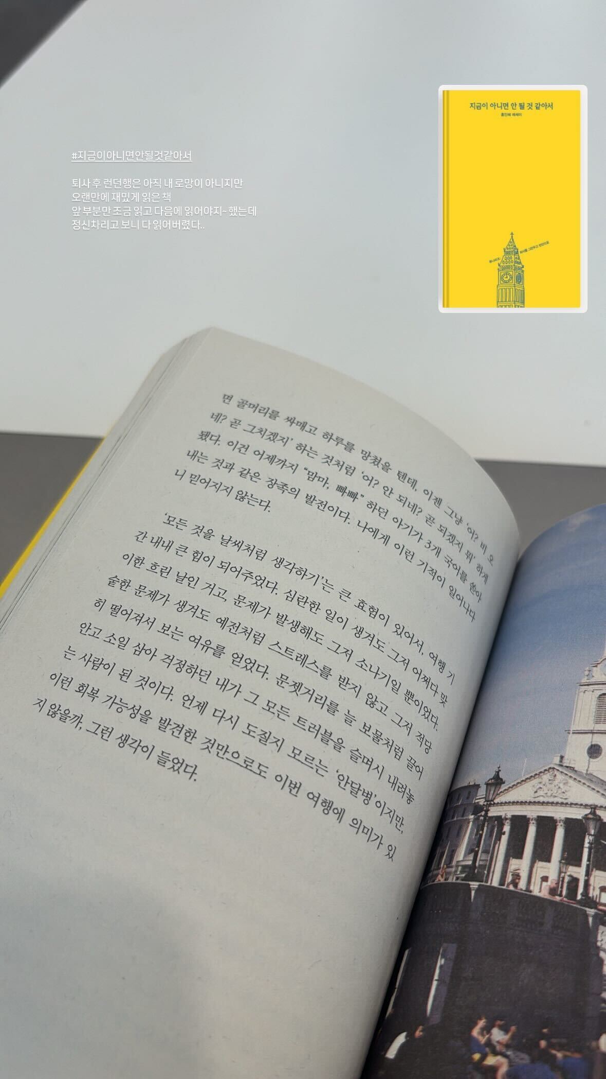 지금이 아니면 안 될 것 같아서 책 - 리뷰